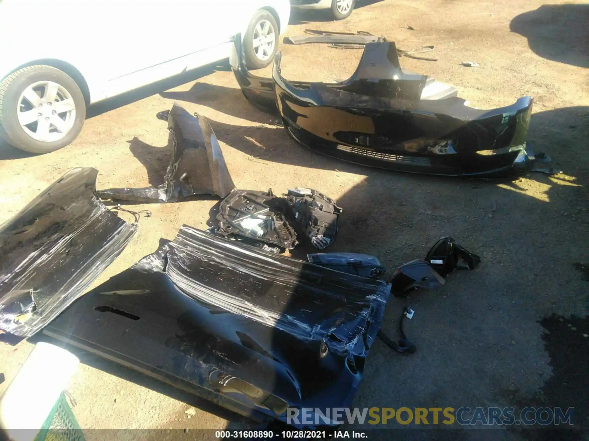 12 Photograph of a damaged car 5YJYGDEE9MF195503 TESLA MODEL Y 2021