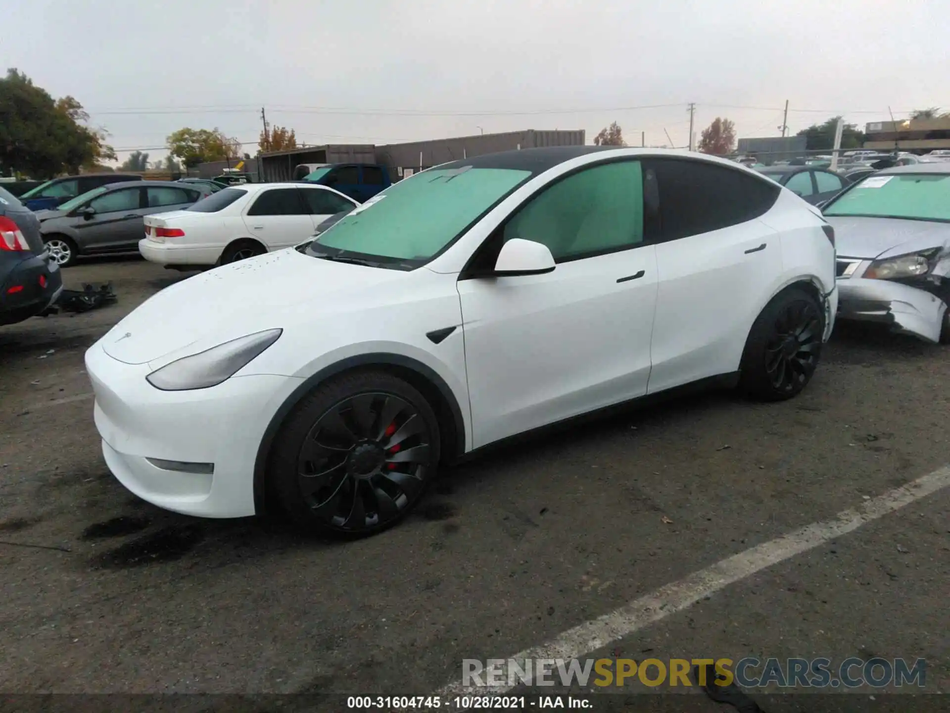 2 Photograph of a damaged car 5YJYGDEF2MF076278 TESLA MODEL Y 2021