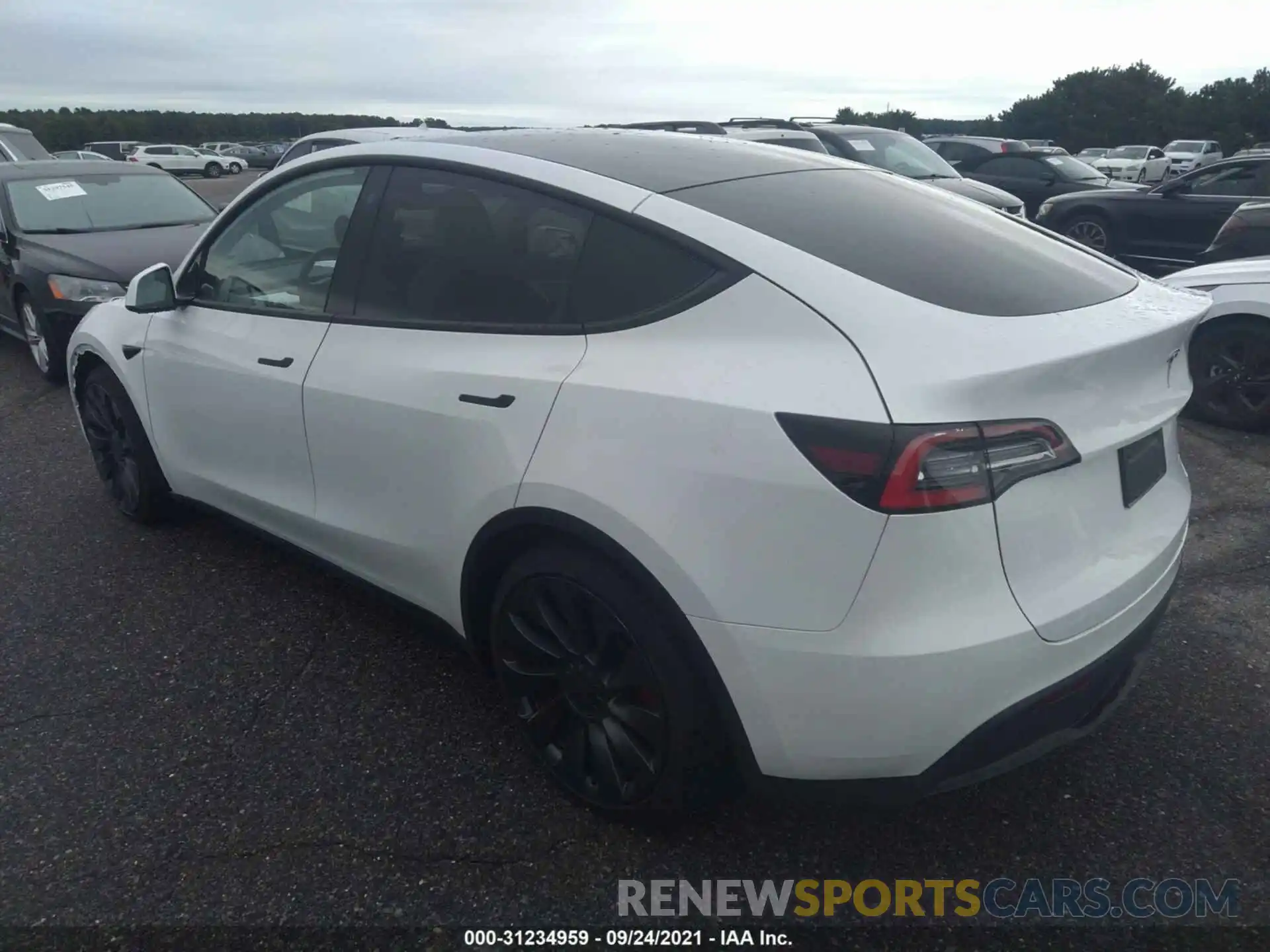 3 Photograph of a damaged car 5YJYGDEFXMF090087 TESLA MODEL Y 2021