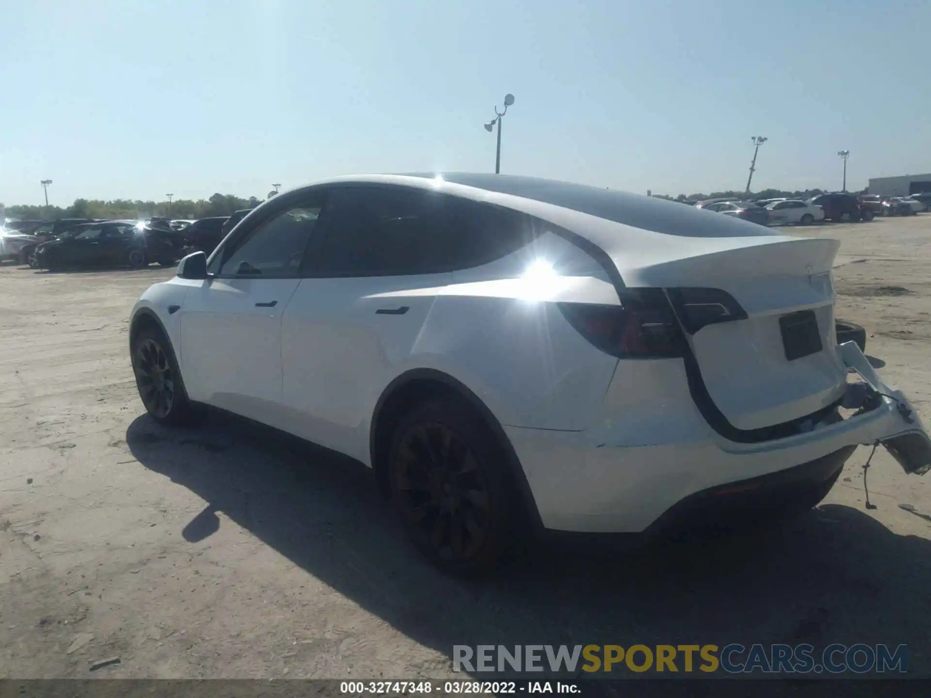 3 Photograph of a damaged car 7SAYGDEE1NF379516 TESLA MODEL Y 2022