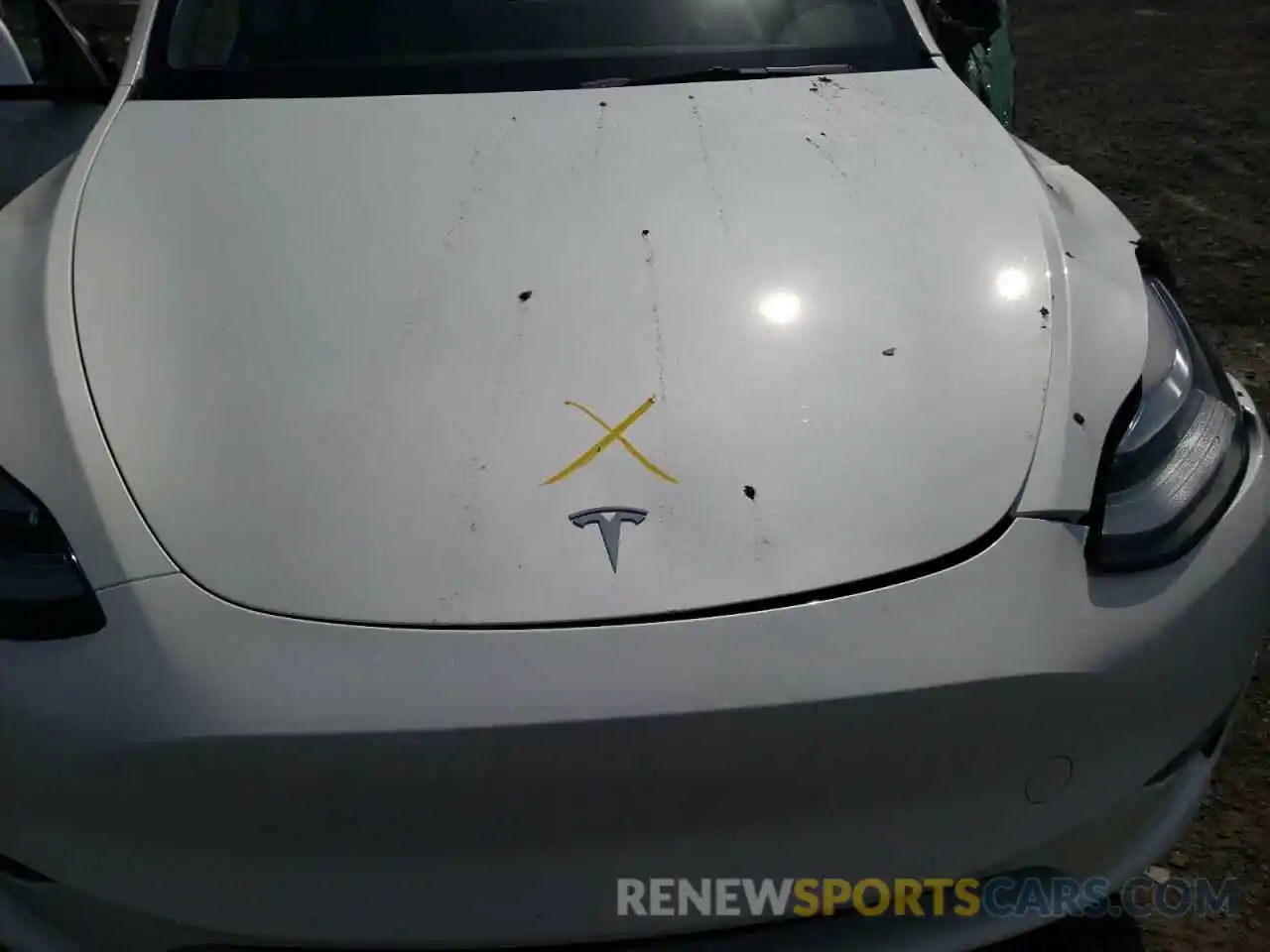 7 Photograph of a damaged car 7SAYGDEE2NF364975 TESLA MODEL Y 2022