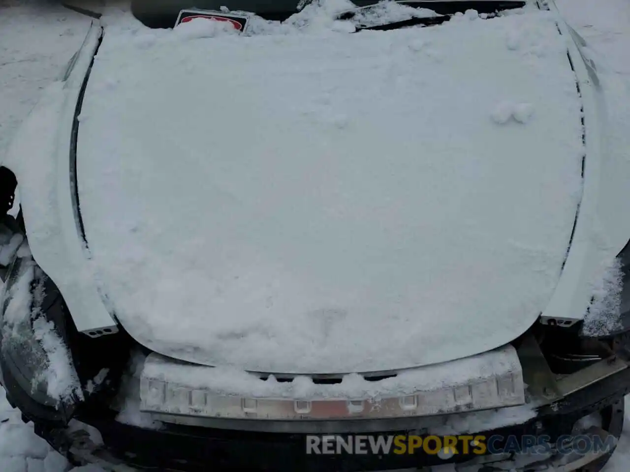 11 Photograph of a damaged car 7SAYGDEE2NF534817 TESLA MODEL Y 2022