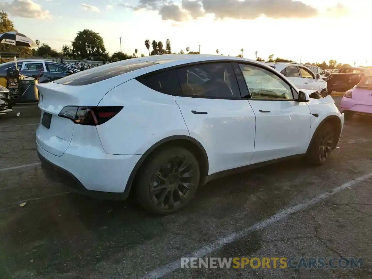 3 Photograph of a damaged car 7SAYGDEE3NF561167 TESLA MODEL Y 2022