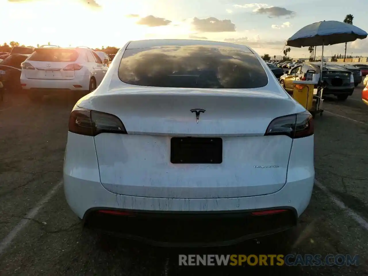 6 Photograph of a damaged car 7SAYGDEE3NF561167 TESLA MODEL Y 2022