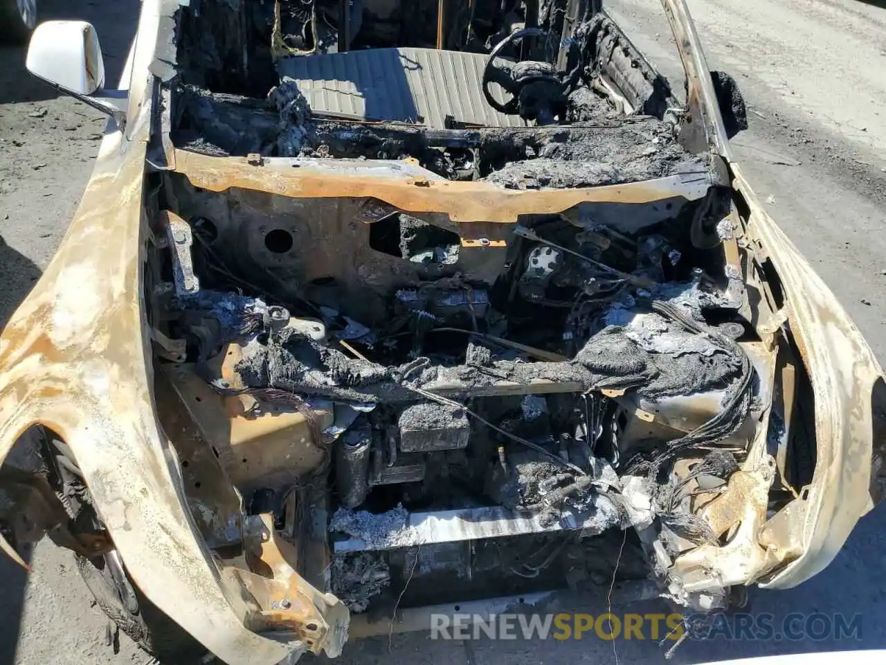 11 Photograph of a damaged car 7SAYGDEE4NF513824 TESLA MODEL Y 2022