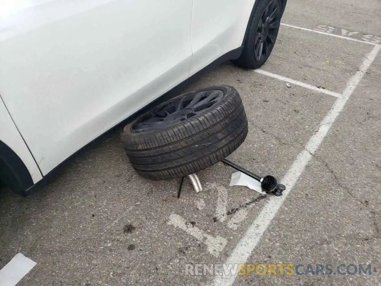 13 Photograph of a damaged car 7SAYGDEE6NF426474 TESLA MODEL Y 2022