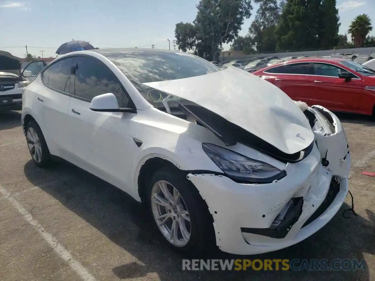 1 Photograph of a damaged car 7SAYGDEE7NF431893 TESLA MODEL Y 2022