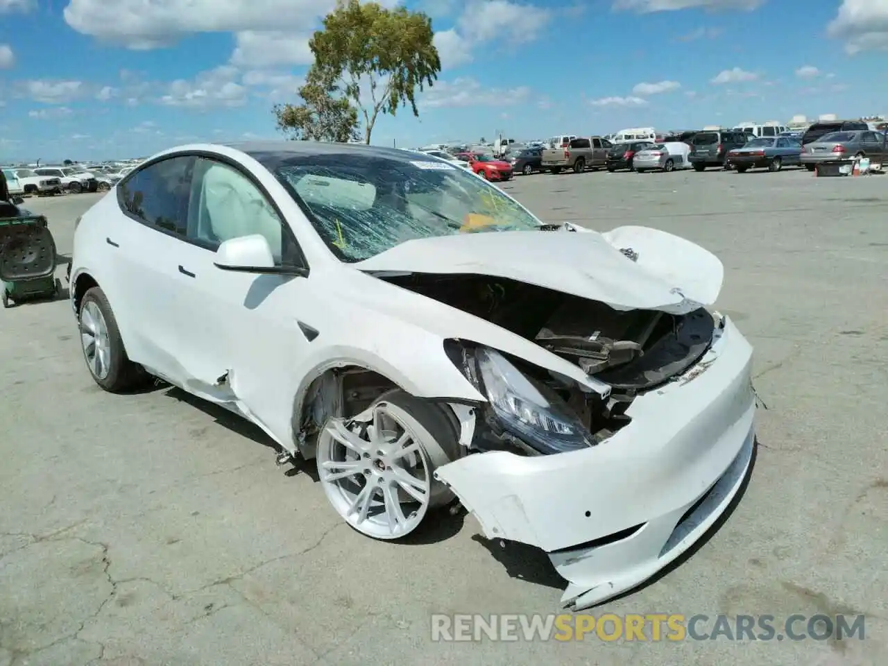 1 Photograph of a damaged car 7SAYGDEE9NF402511 TESLA MODEL Y 2022