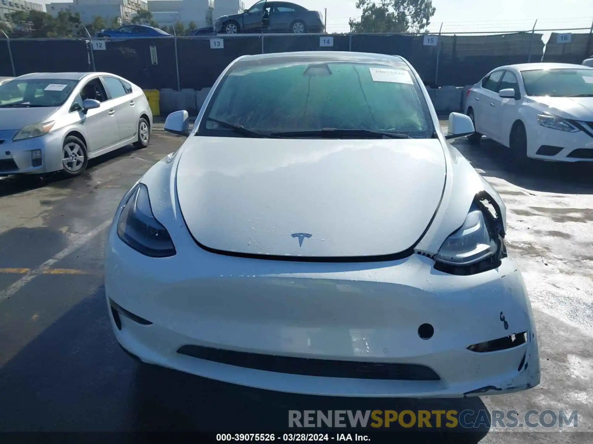 12 Photograph of a damaged car 7SAYGDEF2NF489550 TESLA MODEL Y 2022