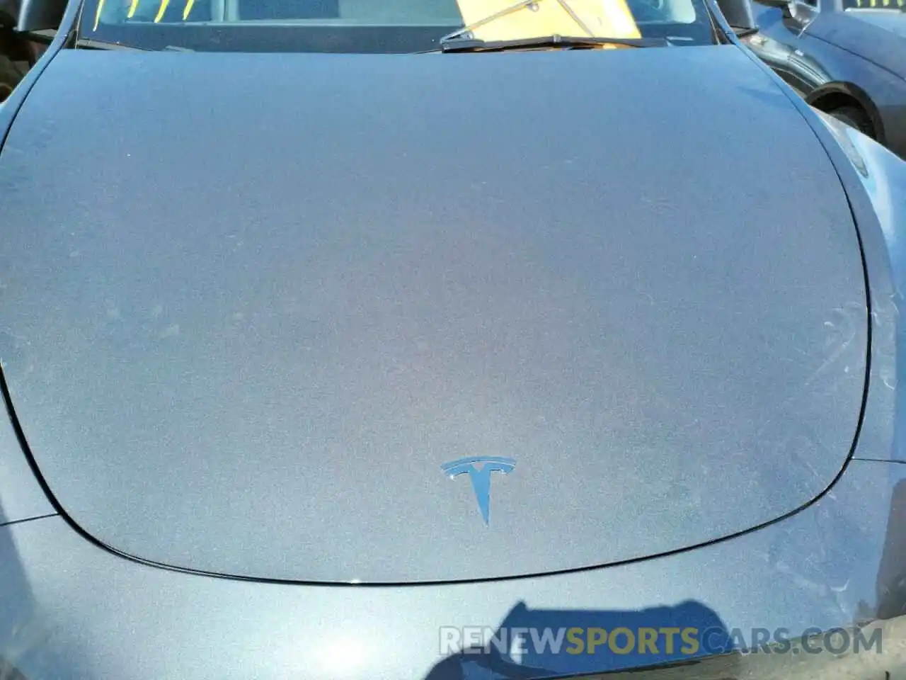 7 Photograph of a damaged car 7SAYGDEF4NF443427 TESLA MODEL Y 2022