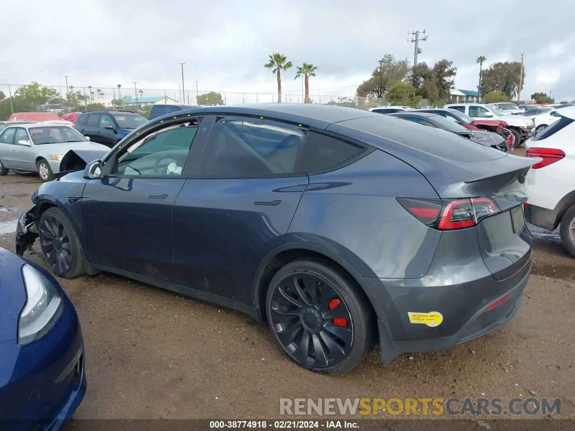 14 Photograph of a damaged car 7SAYGDEF6NF351770 TESLA MODEL Y 2022