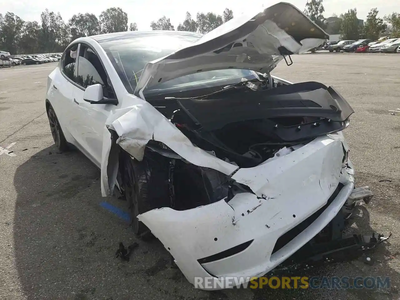 1 Photograph of a damaged car 7SAYGDEF7NF344066 TESLA MODEL Y 2022