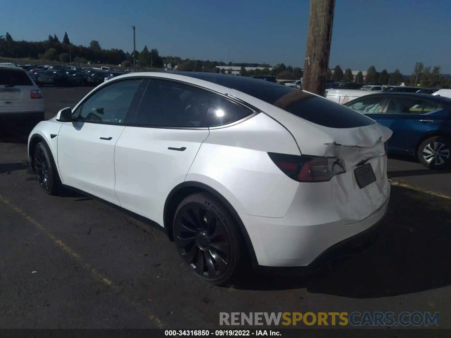 3 Photograph of a damaged car 7SAYGDEF9NF485656 TESLA MODEL Y 2022