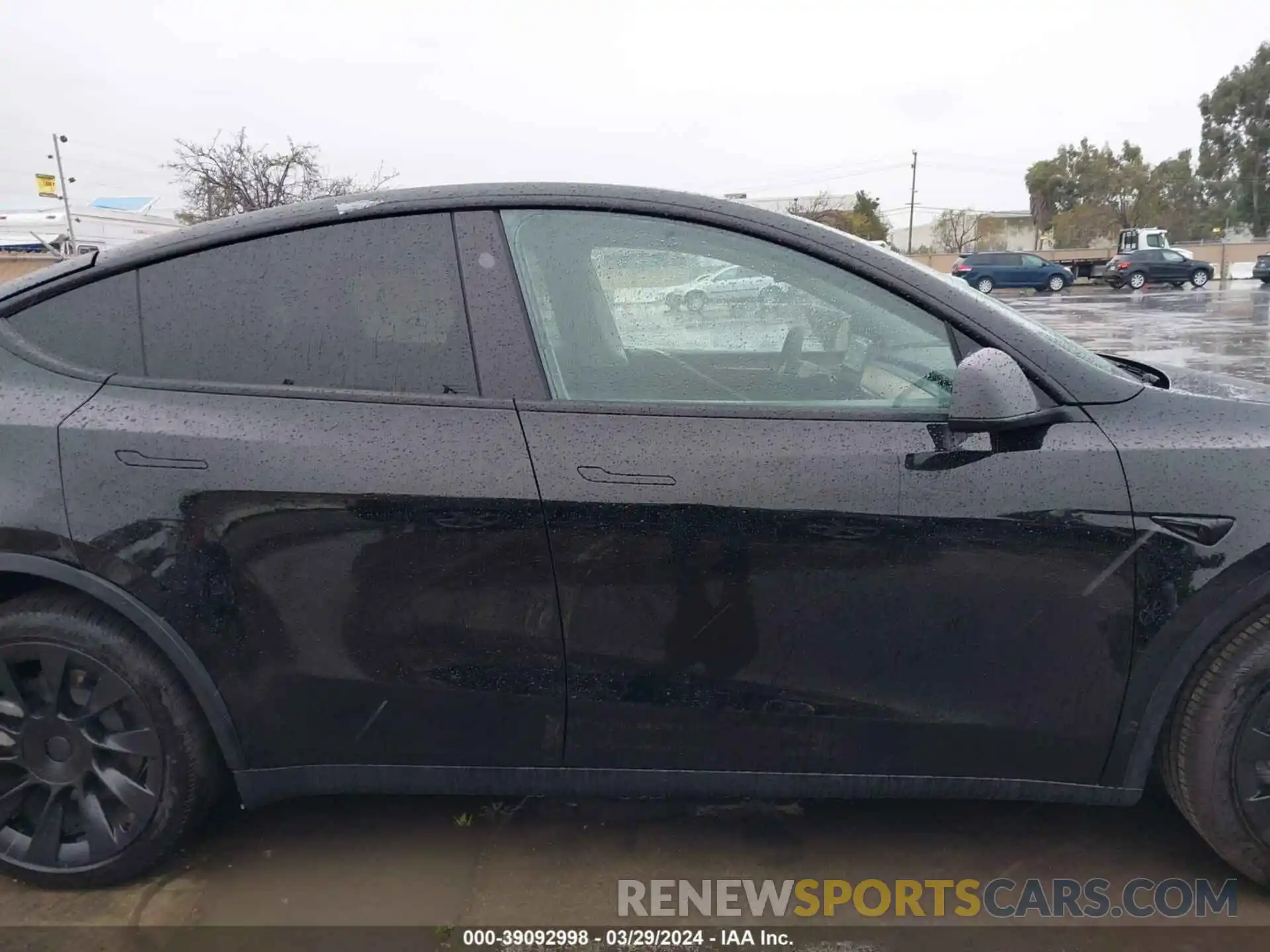 12 Photograph of a damaged car 7SAYGDED8PF976883 TESLA MODEL Y 2023