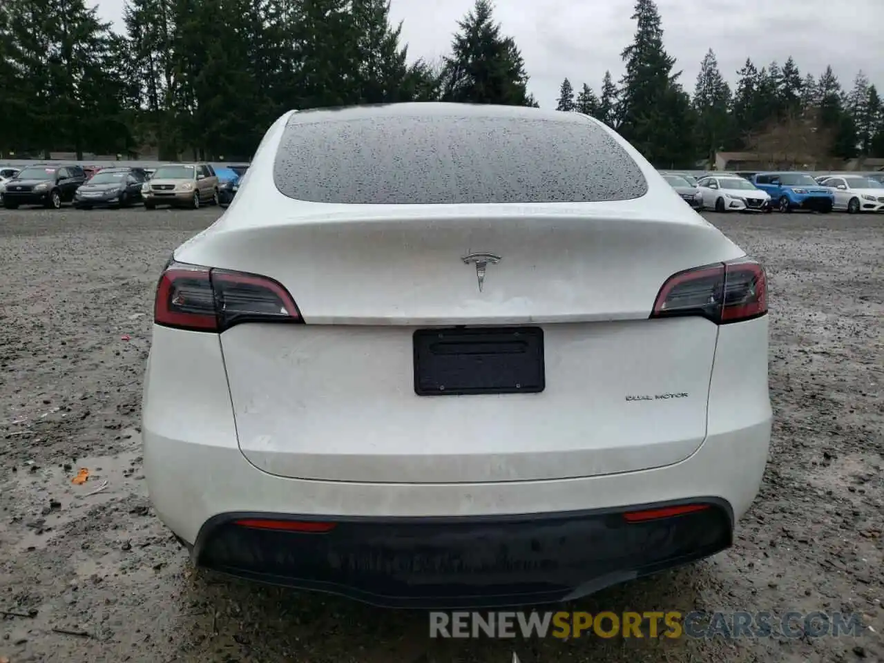 6 Photograph of a damaged car 7SAYGDEE1PF627198 TESLA MODEL Y 2023