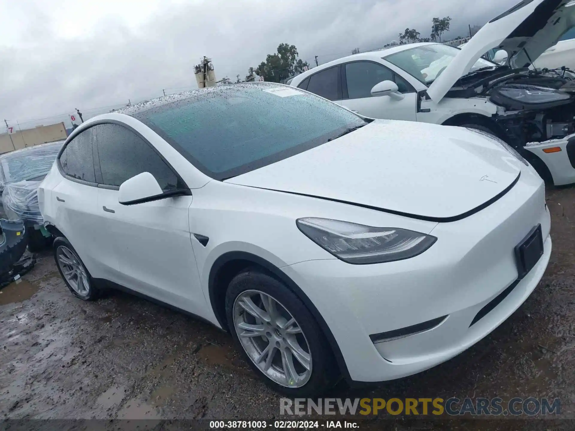 1 Фотография поврежденного автомобиля 7SAYGDEE2PA023463 TESLA MODEL Y 2023