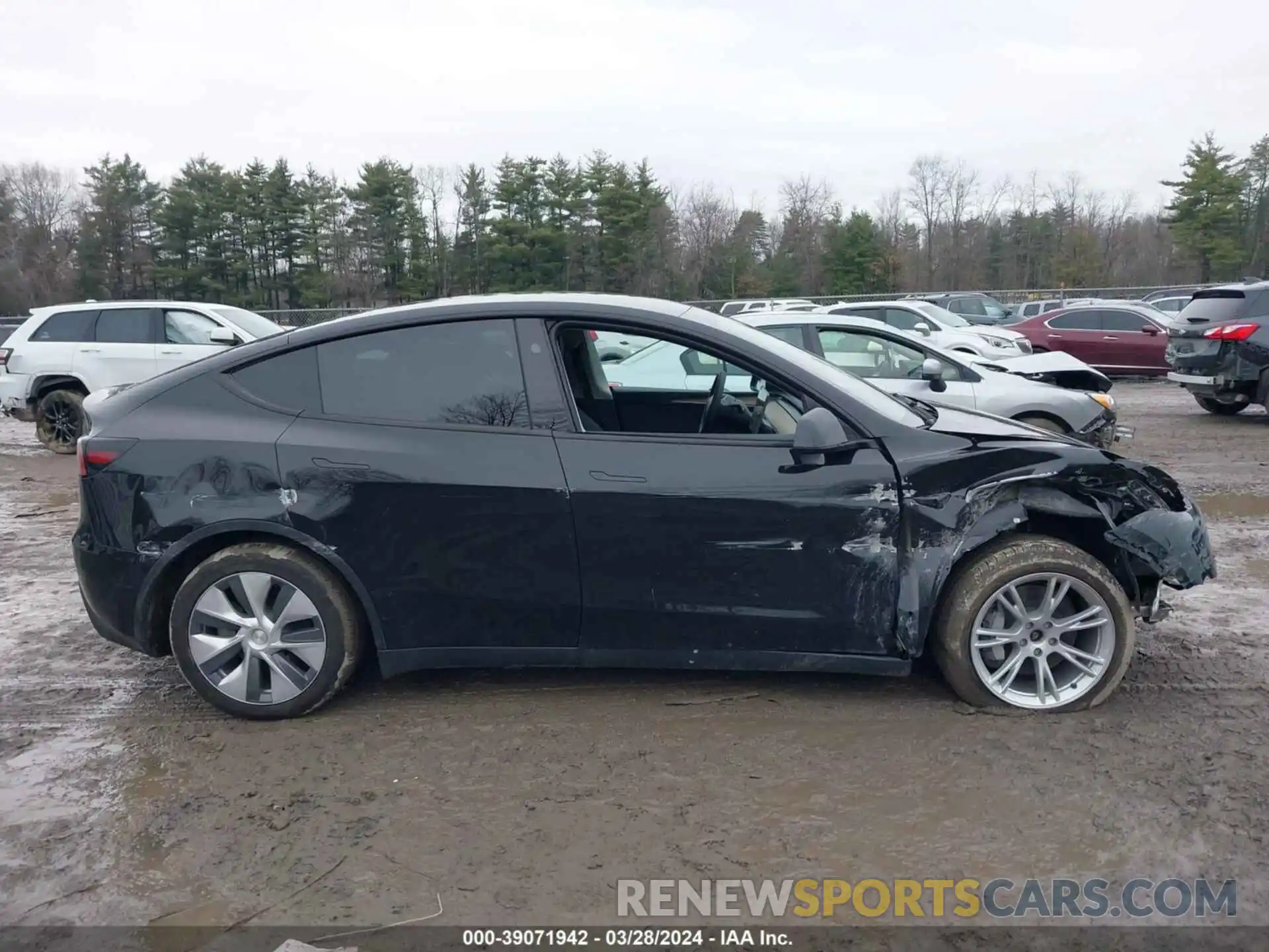 13 Photograph of a damaged car 7SAYGDEE7PF899061 TESLA MODEL Y 2023