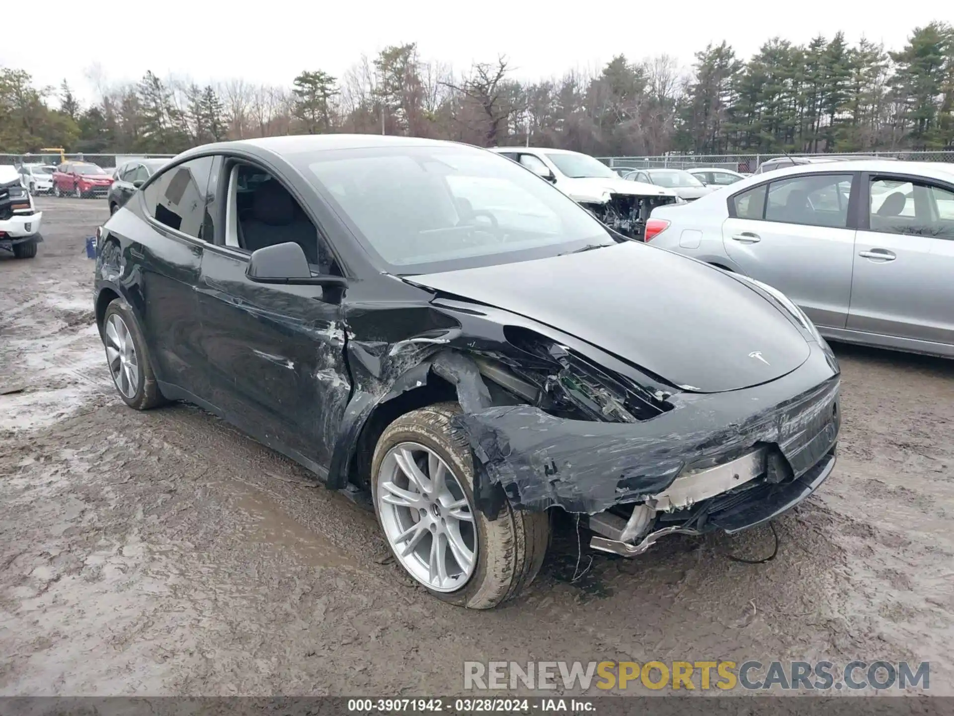 6 Photograph of a damaged car 7SAYGDEE7PF899061 TESLA MODEL Y 2023