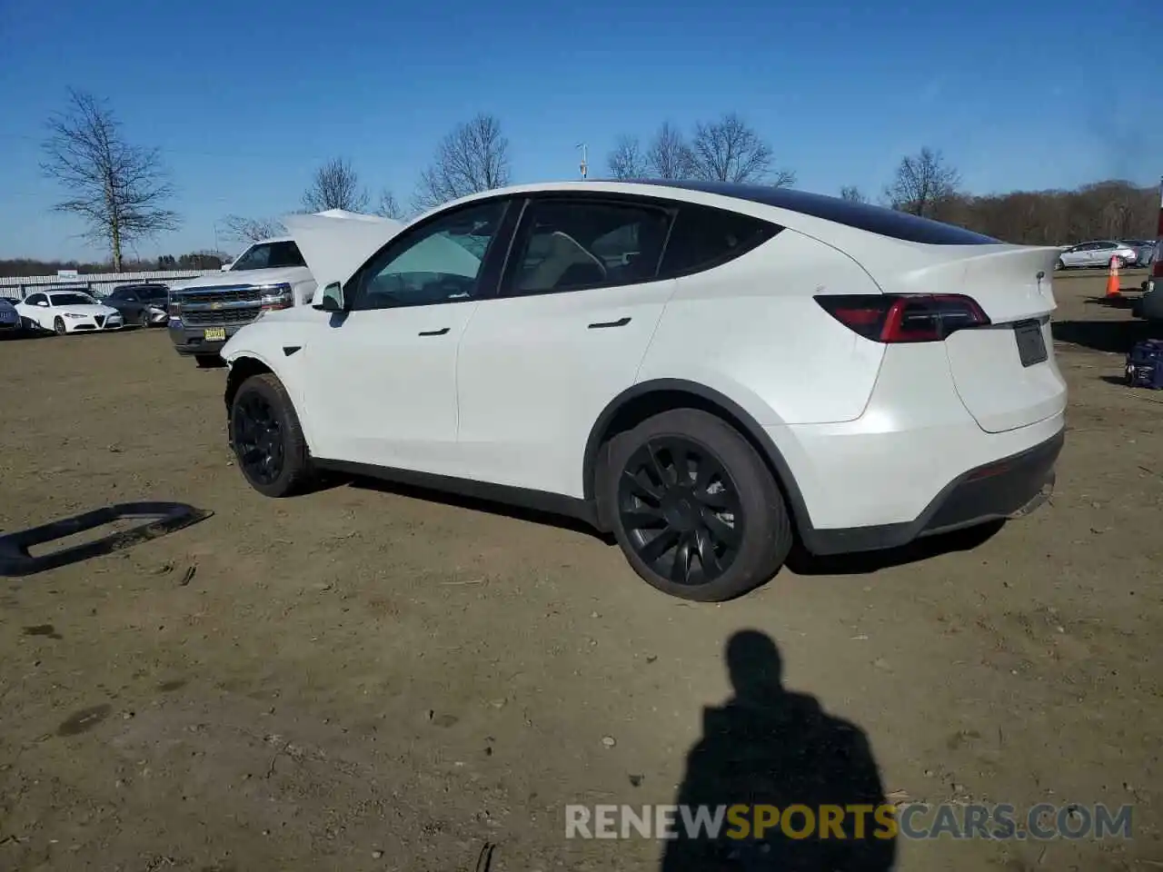 2 Photograph of a damaged car 7SAYGDEE8PF749606 TESLA MODEL Y 2023