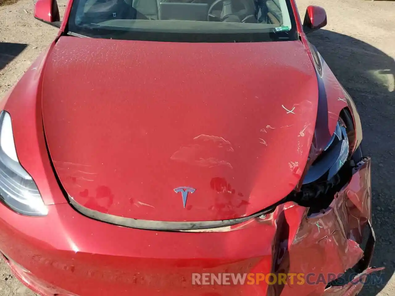 11 Photograph of a damaged car 7SAYGDEE8PF833599 TESLA MODEL Y 2023