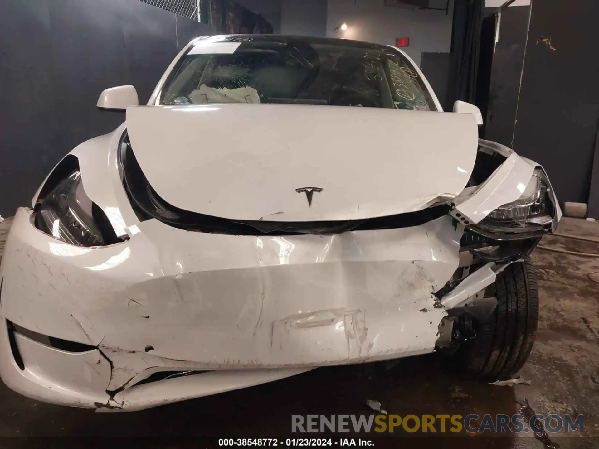 12 Photograph of a damaged car 7SAYGDEEXPA101374 TESLA MODEL Y 2023