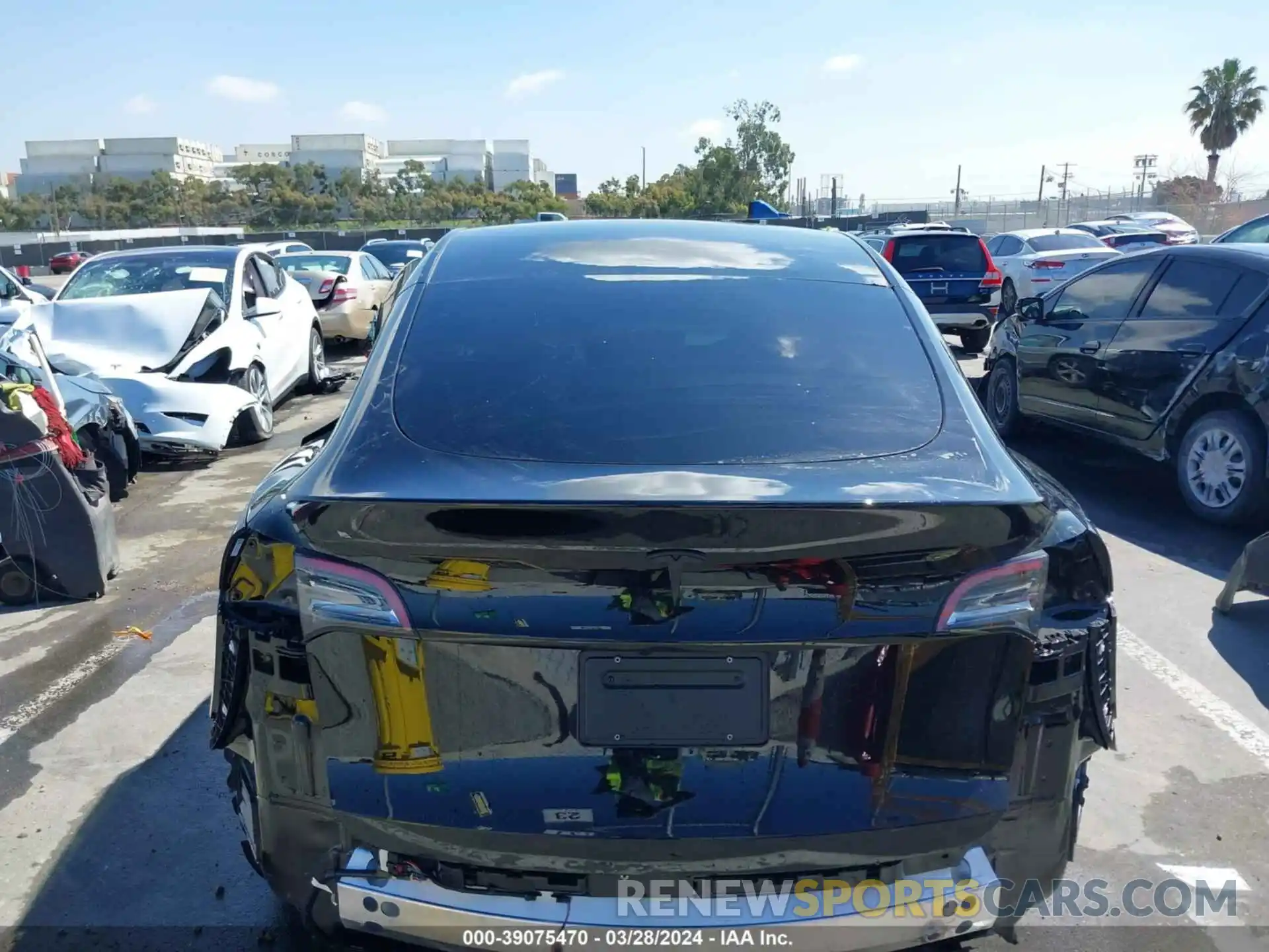 16 Photograph of a damaged car 7SAYGDED5RF010199 TESLA MODEL Y 2024