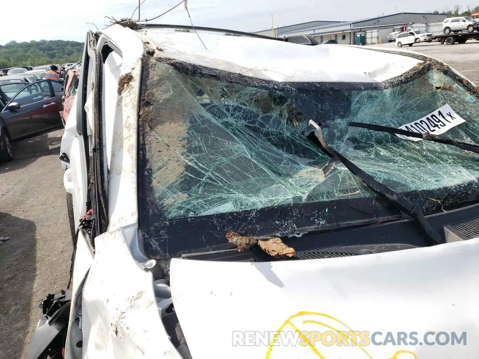 9 Photograph of a damaged car JTEBU5JR1K5694903 TOYOTA 4RUNNER 2019