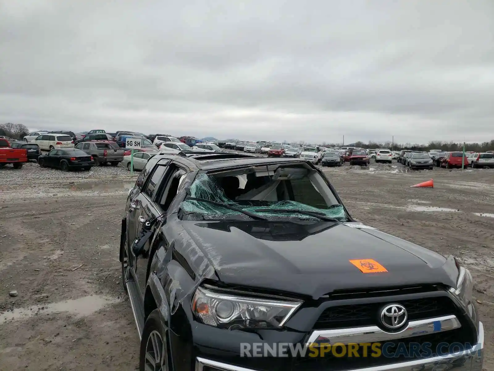 9 Photograph of a damaged car JTEBU5JR4K5673348 TOYOTA 4RUNNER 2019