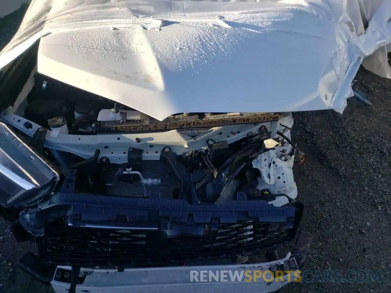 7 Photograph of a damaged car JTENU5JR3N5986974 TOYOTA 4RUNNER 2022