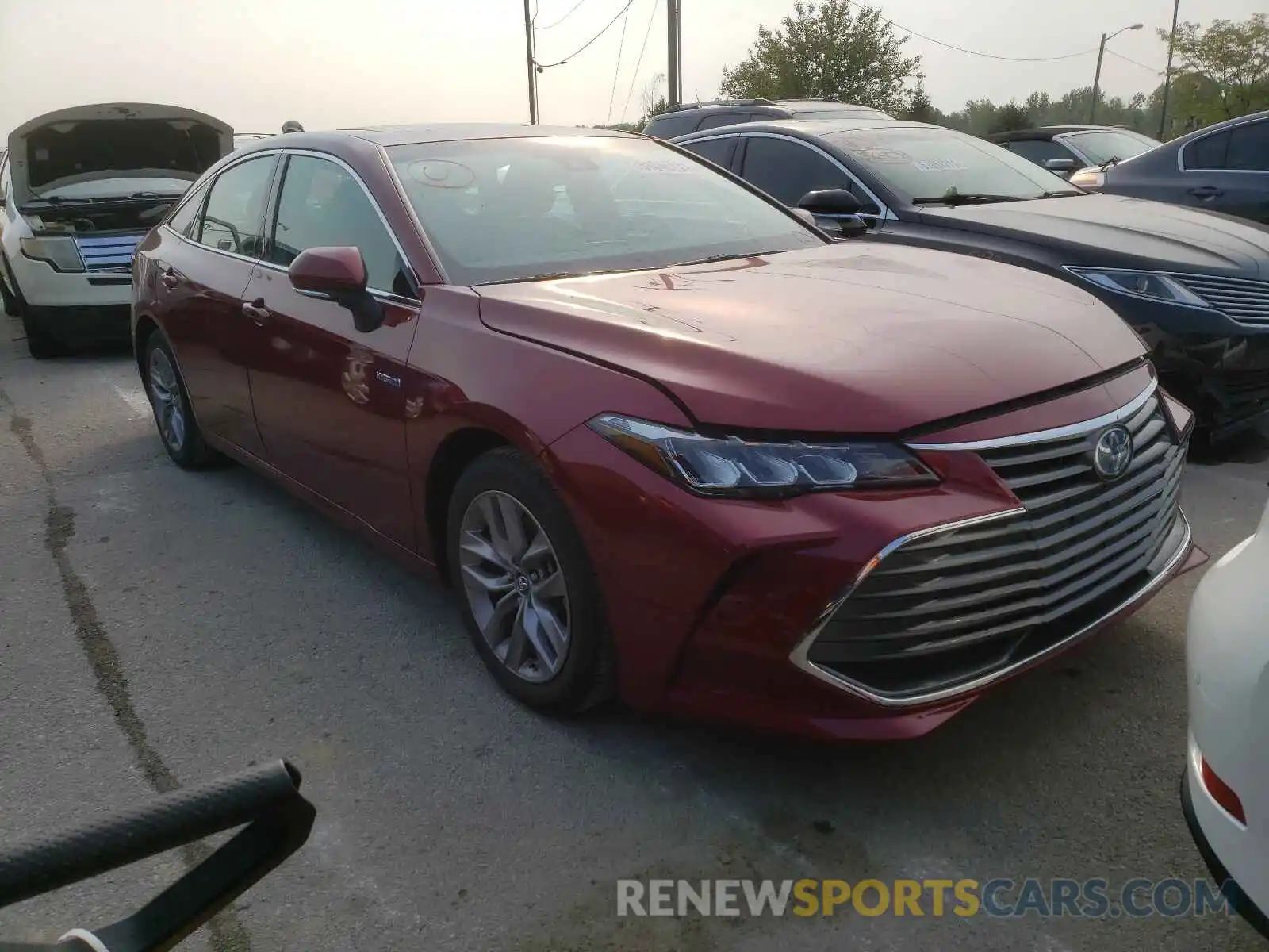 1 Photograph of a damaged car 4T1B21FB8KU003334 TOYOTA AVALON 2019