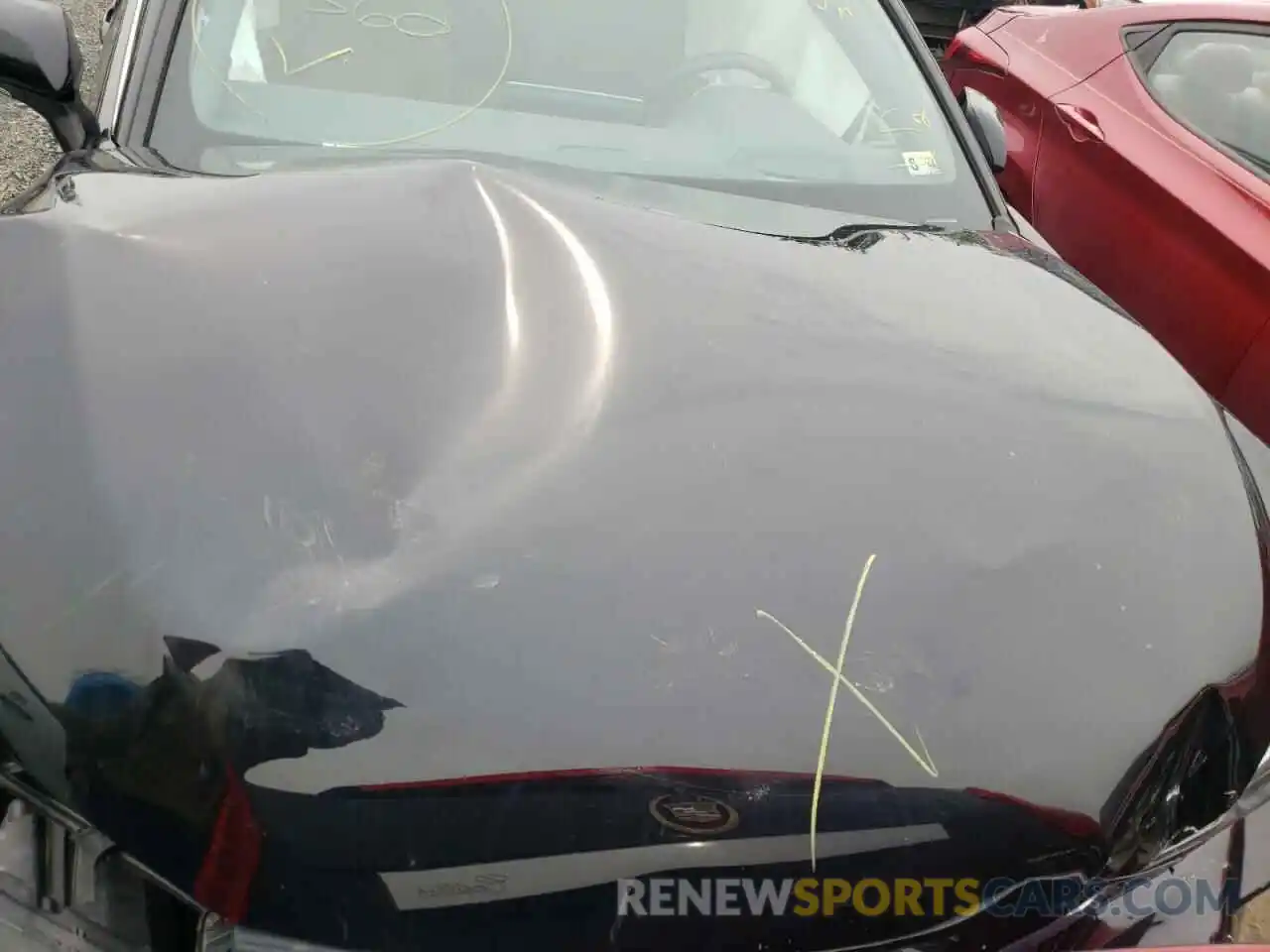 7 Photograph of a damaged car 4T1B21FB9KU002855 TOYOTA AVALON 2019