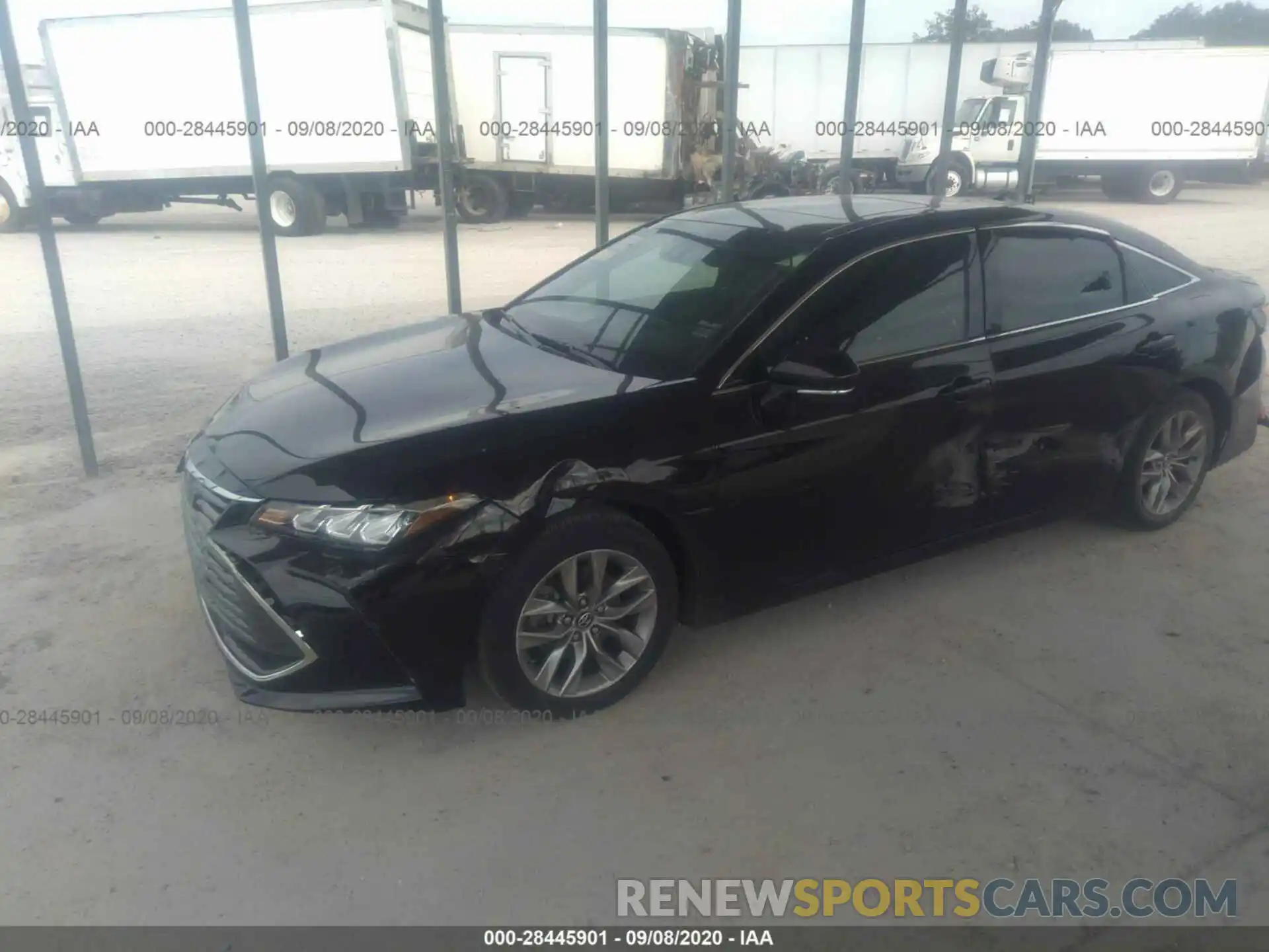 2 Photograph of a damaged car 4T1BZ1FB2KU010209 TOYOTA AVALON 2019