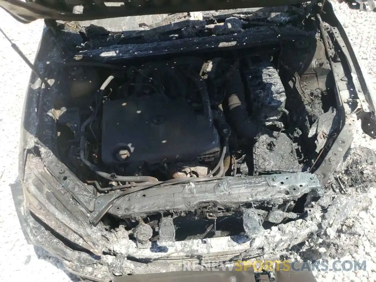 7 Photograph of a damaged car 4T1BZ1FB2KU031626 TOYOTA AVALON 2019