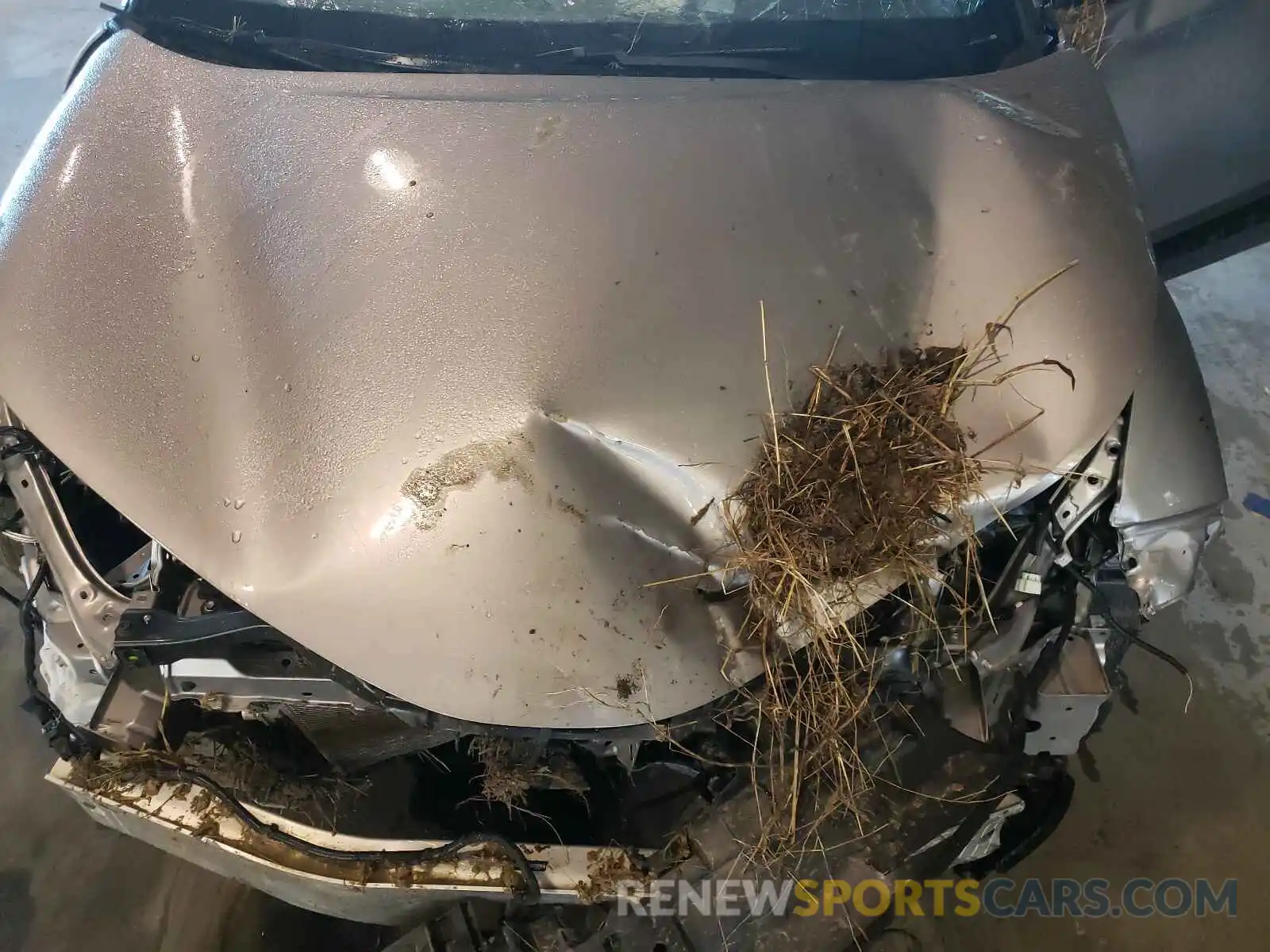 7 Photograph of a damaged car NMTKHMBX3KR082856 TOYOTA C-HR 2019