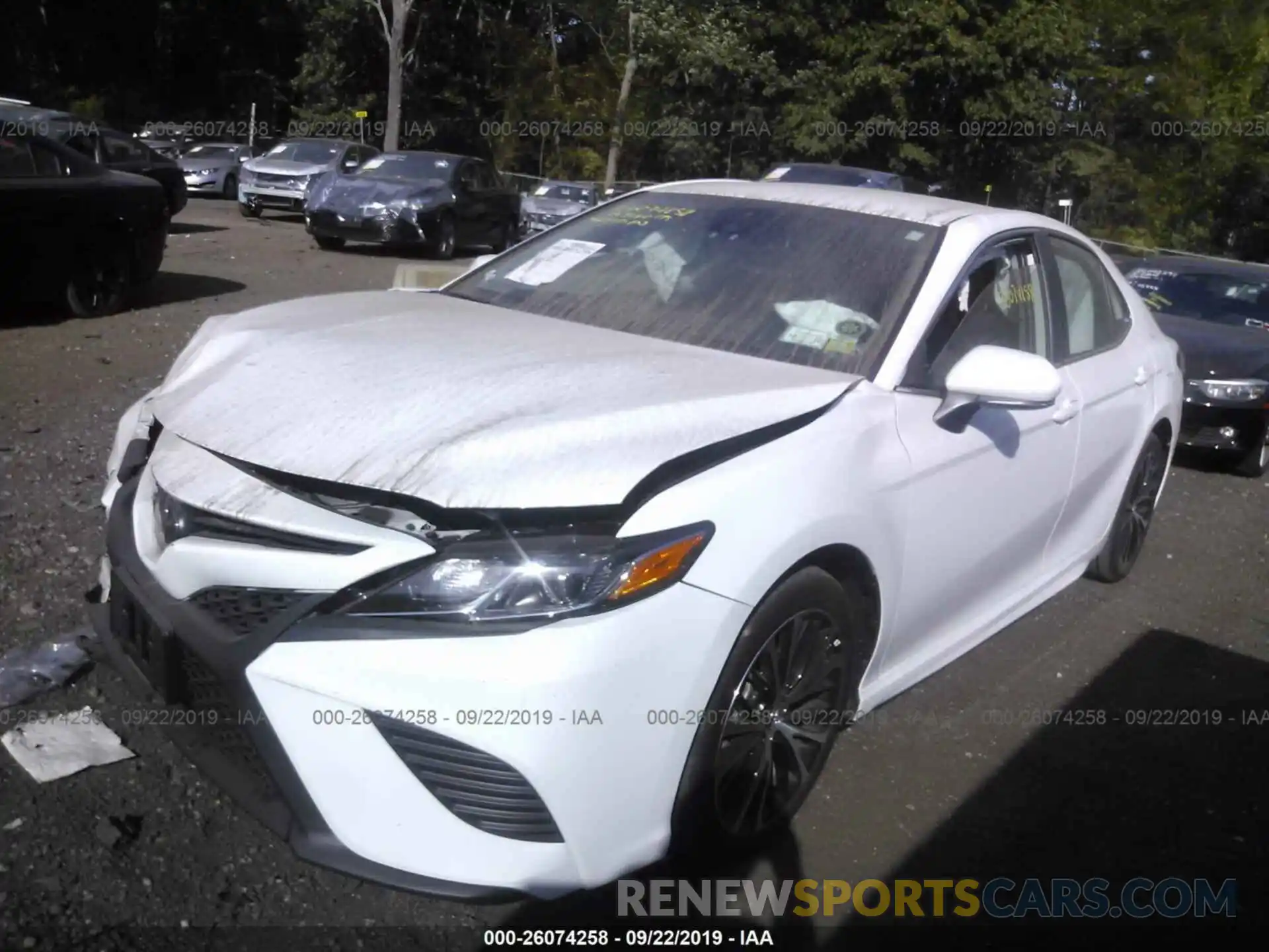 2 Photograph of a damaged car 4T1B11HK0KU159710 TOYOTA CAMRY 2019