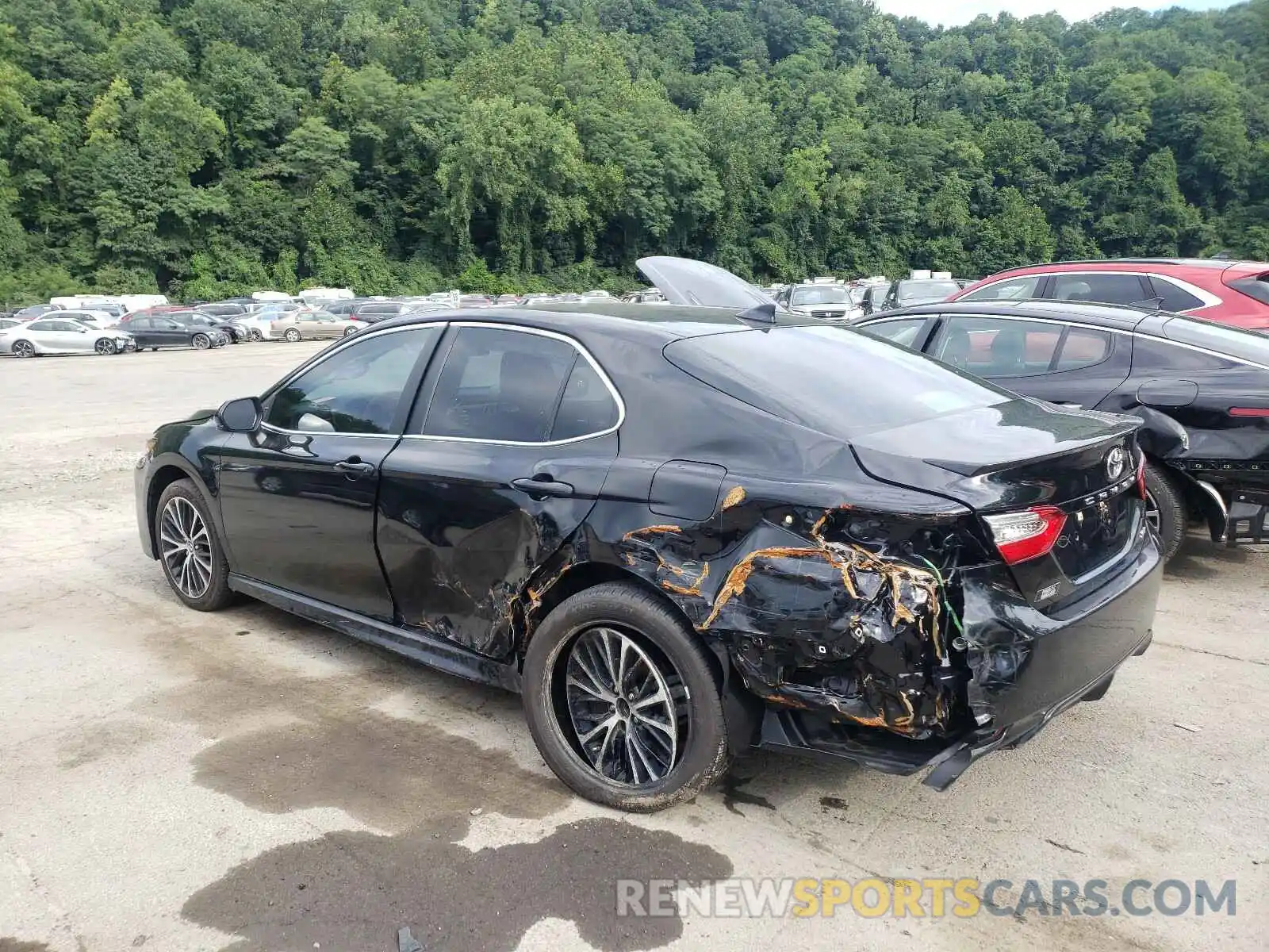 3 Photograph of a damaged car 4T1B11HK0KU164924 TOYOTA CAMRY 2019