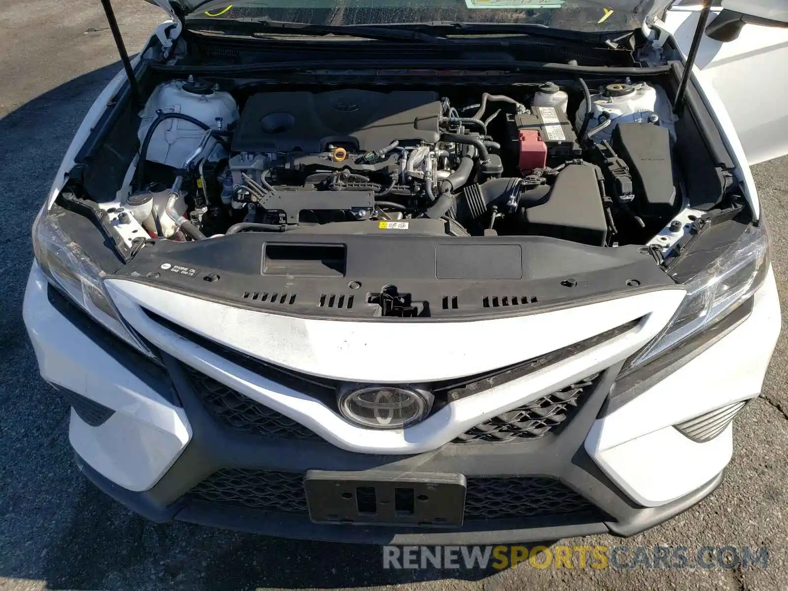 7 Photograph of a damaged car 4T1B11HK0KU186390 TOYOTA CAMRY 2019