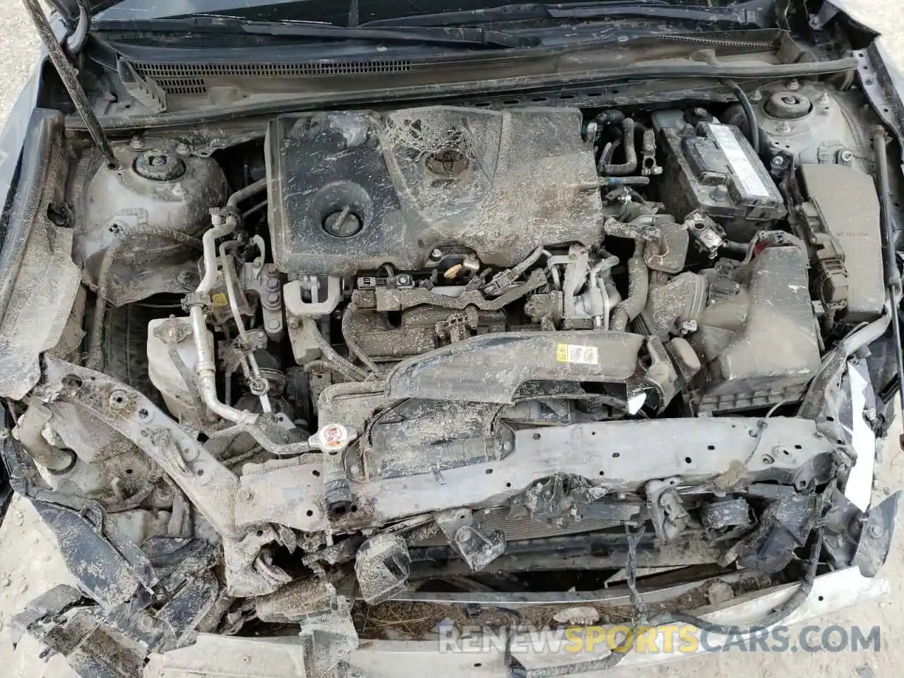 7 Photograph of a damaged car 4T1B11HK0KU191119 TOYOTA CAMRY 2019