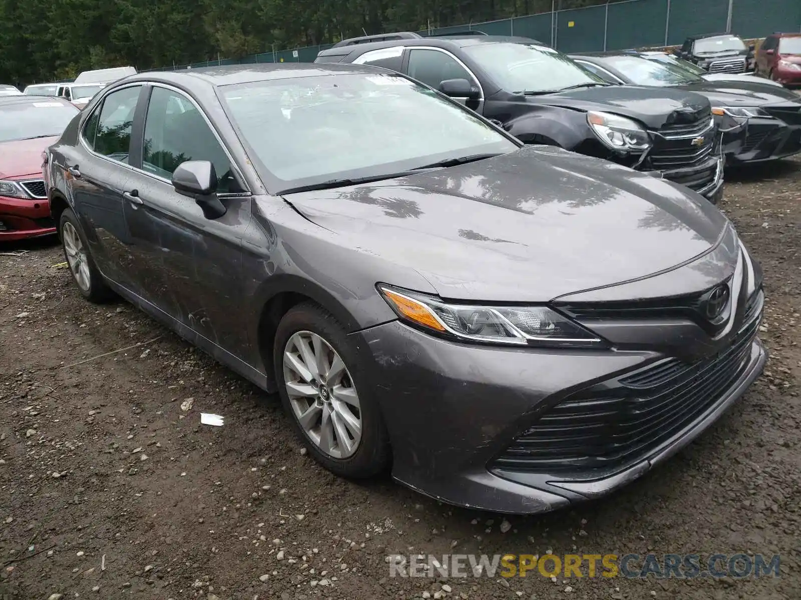 1 Photograph of a damaged car 4T1B11HK0KU197535 TOYOTA CAMRY 2019