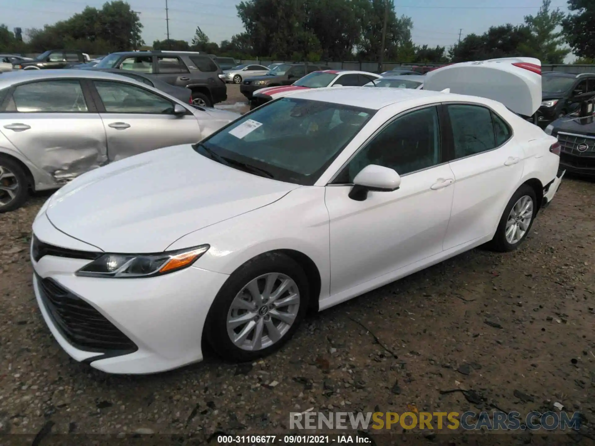 2 Photograph of a damaged car 4T1B11HK0KU204497 TOYOTA CAMRY 2019