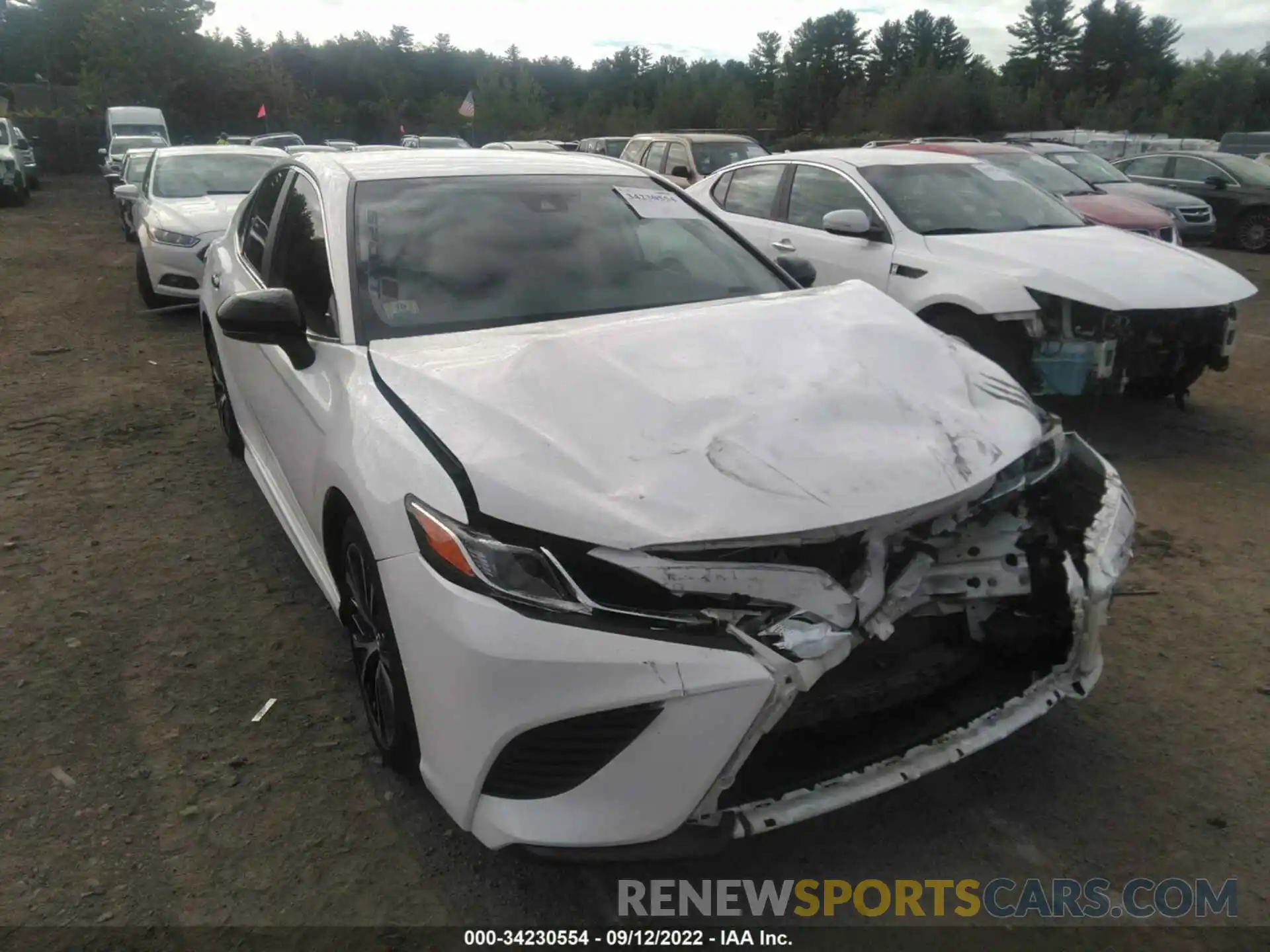 1 Photograph of a damaged car 4T1B11HK0KU205150 TOYOTA CAMRY 2019