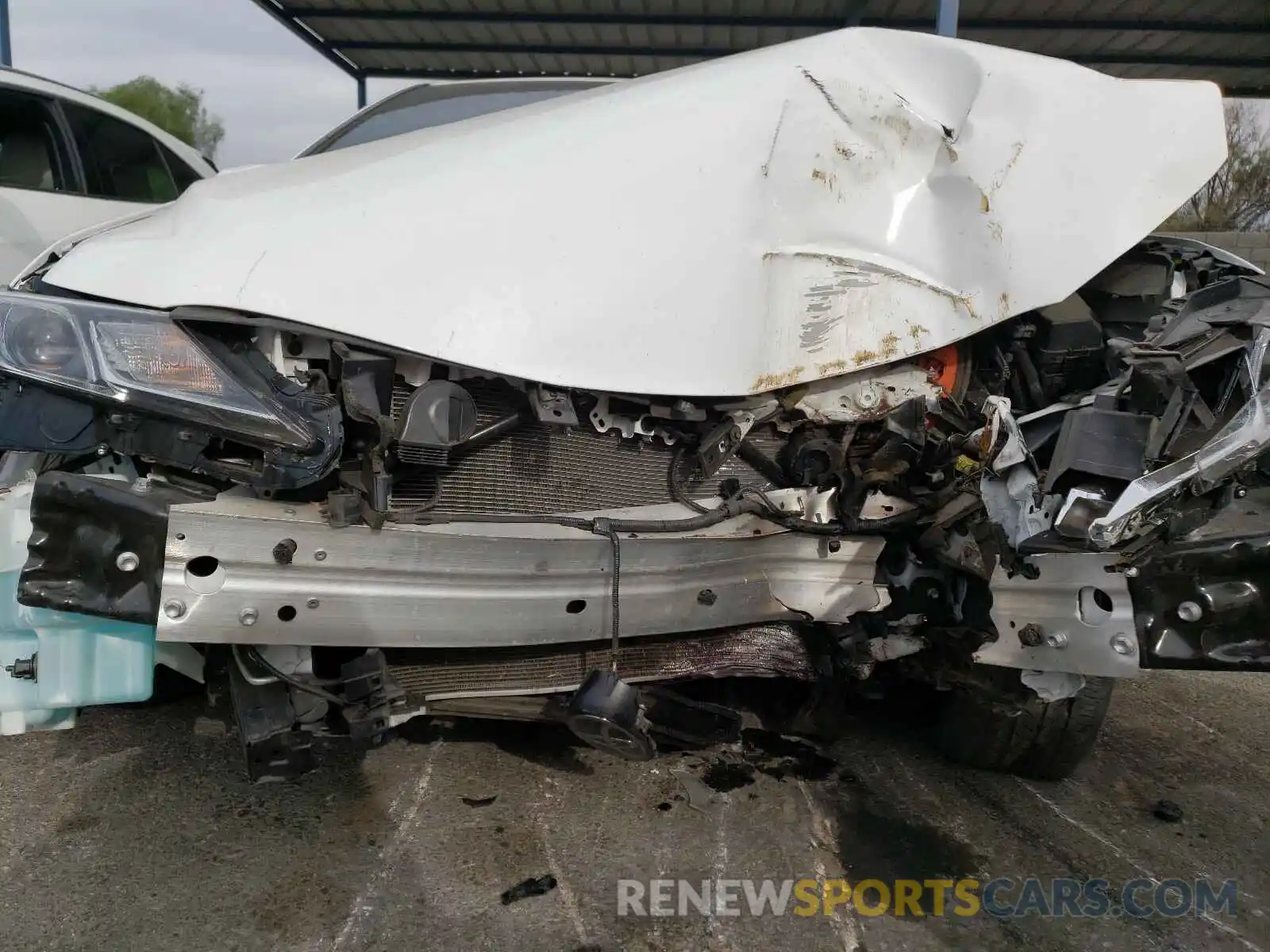 9 Photograph of a damaged car 4T1B11HK0KU209909 TOYOTA CAMRY 2019