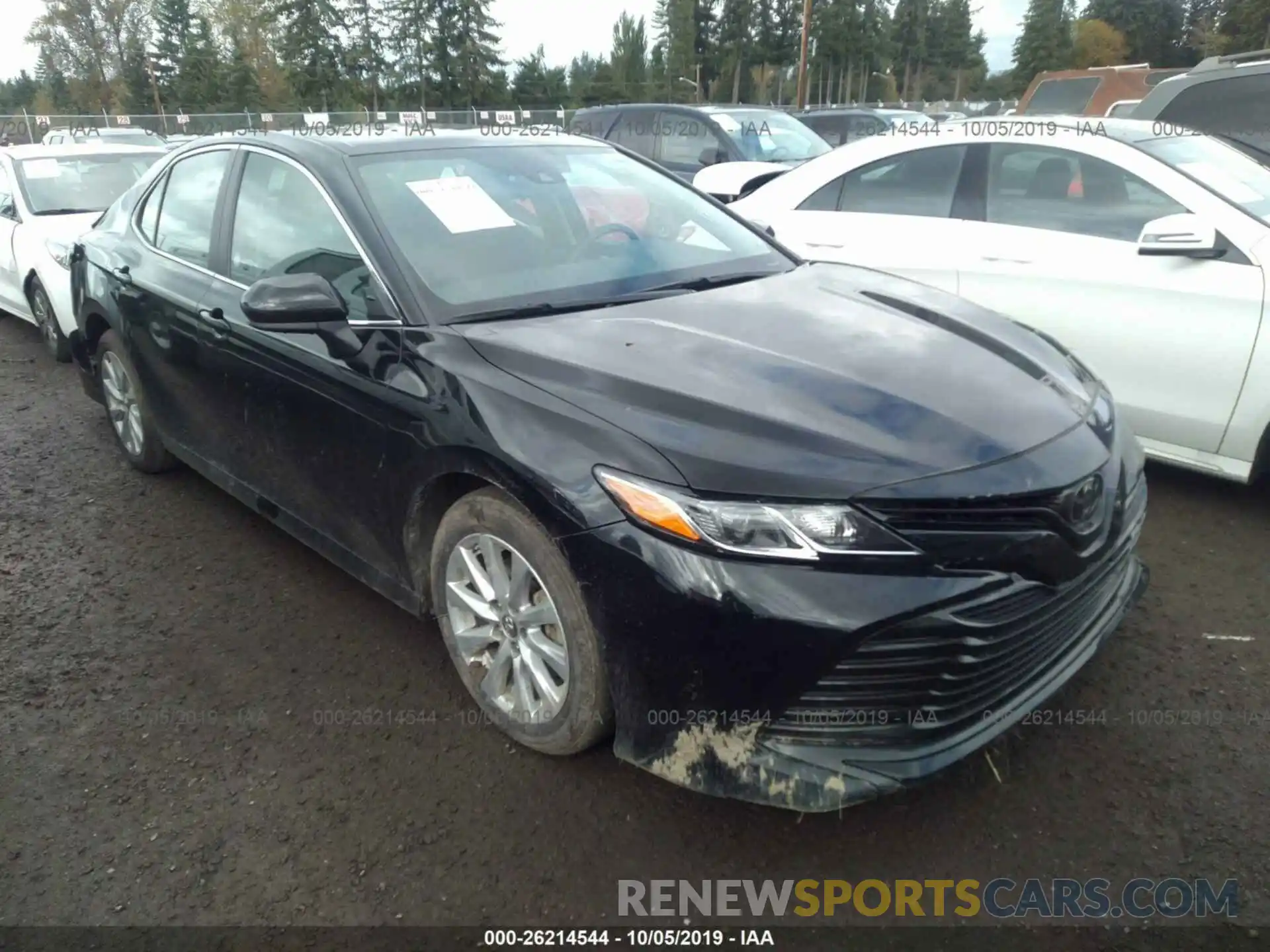 1 Photograph of a damaged car 4T1B11HK0KU214916 TOYOTA CAMRY 2019