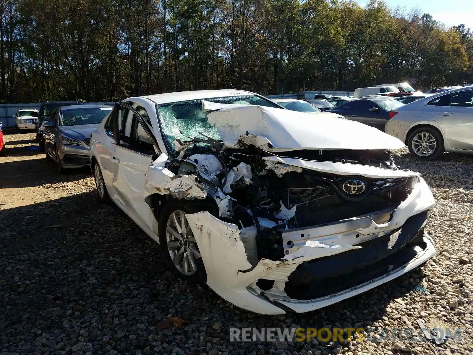 1 Photograph of a damaged car 4T1B11HK0KU239802 TOYOTA CAMRY 2019