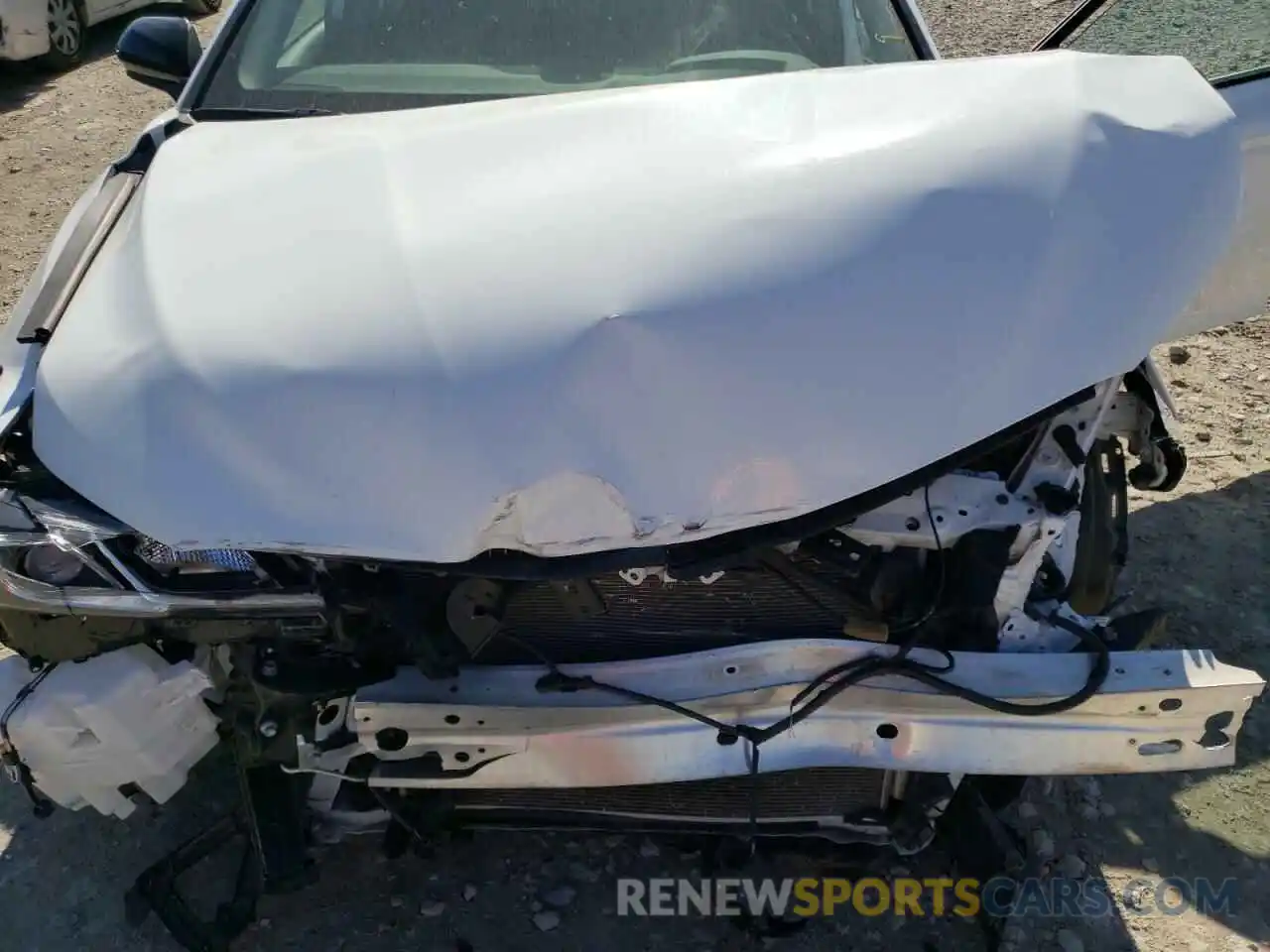 7 Photograph of a damaged car 4T1B11HK0KU243557 TOYOTA CAMRY 2019