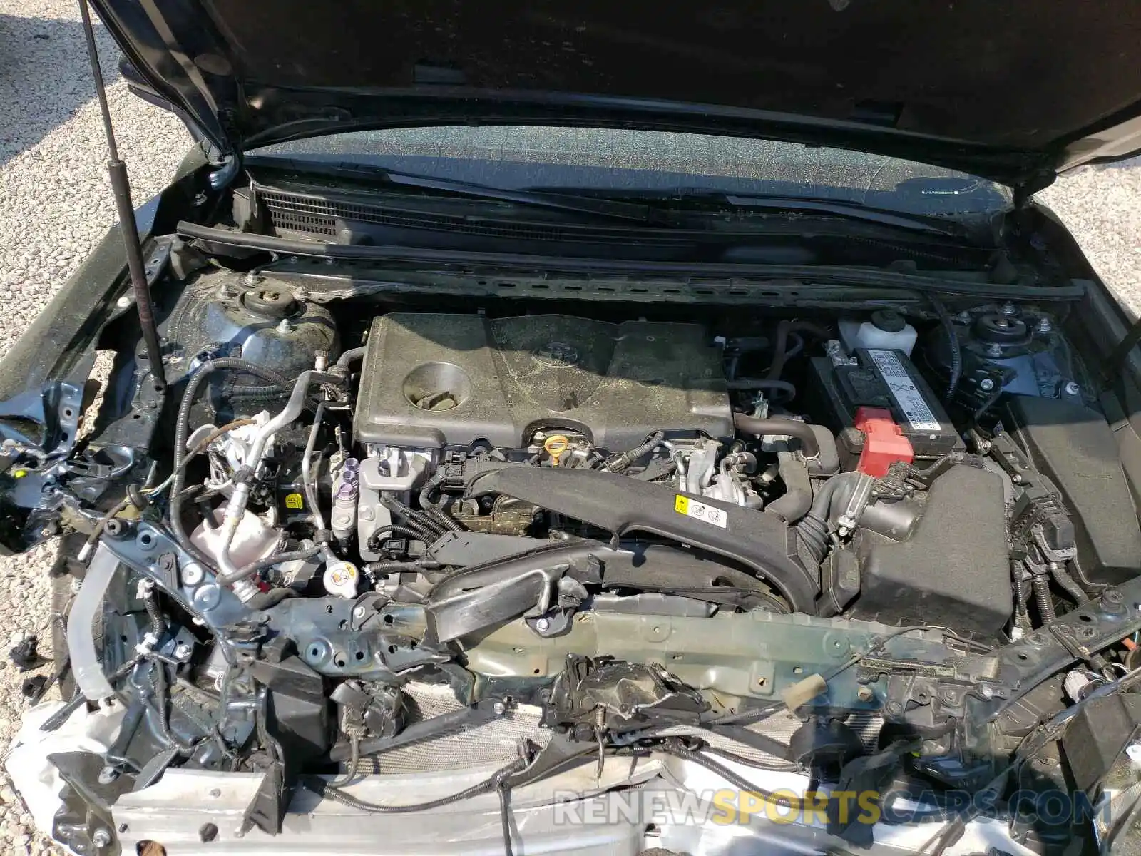 7 Photograph of a damaged car 4T1B11HK0KU252632 TOYOTA CAMRY 2019