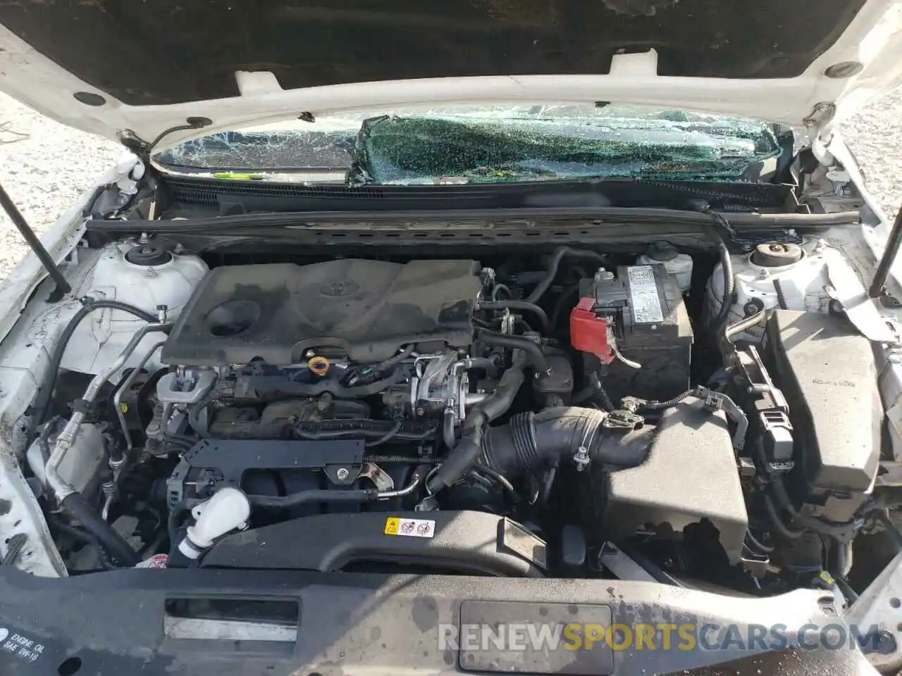 7 Photograph of a damaged car 4T1B11HK0KU255627 TOYOTA CAMRY 2019