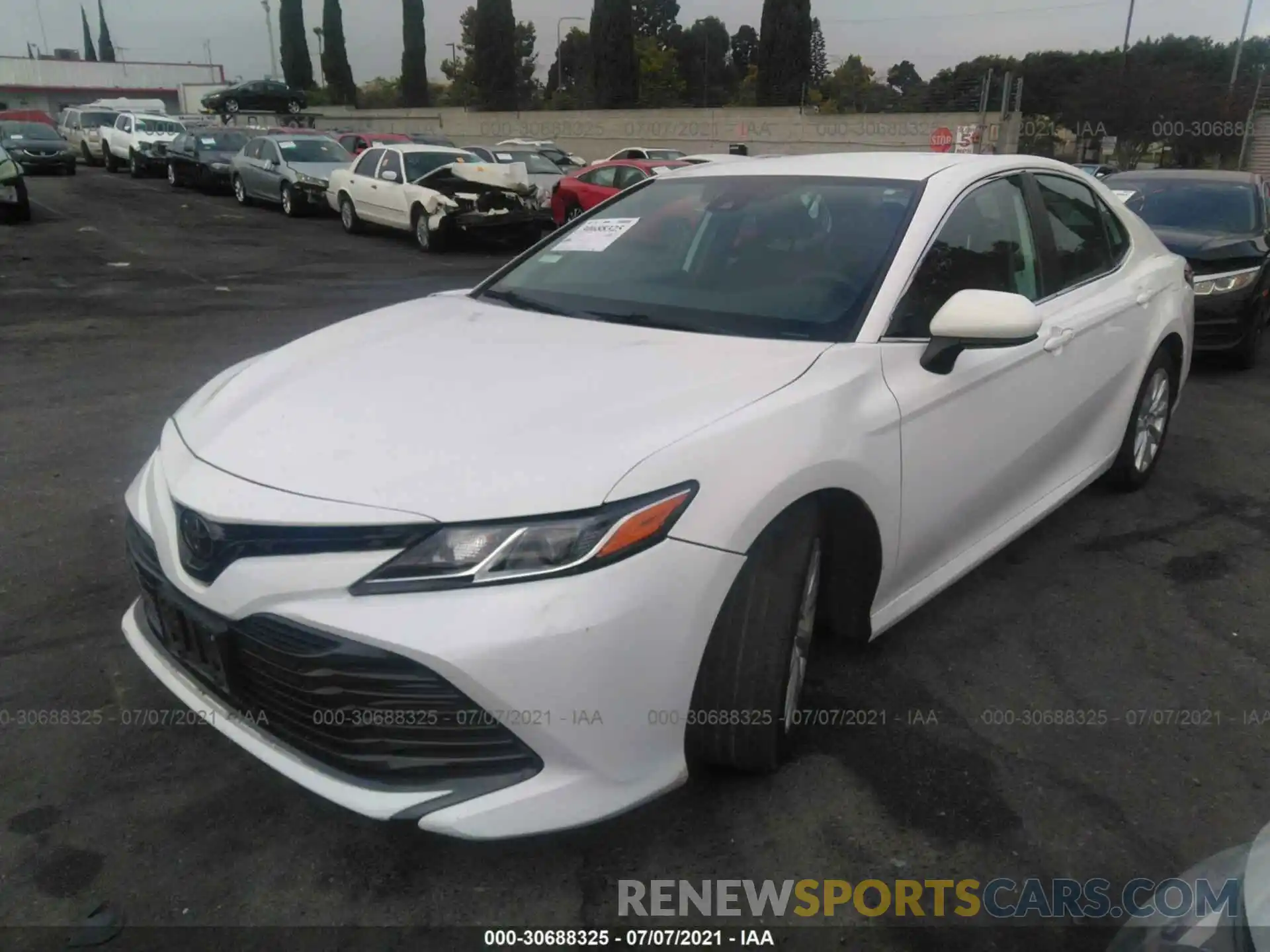 2 Photograph of a damaged car 4T1B11HK0KU728412 TOYOTA CAMRY 2019