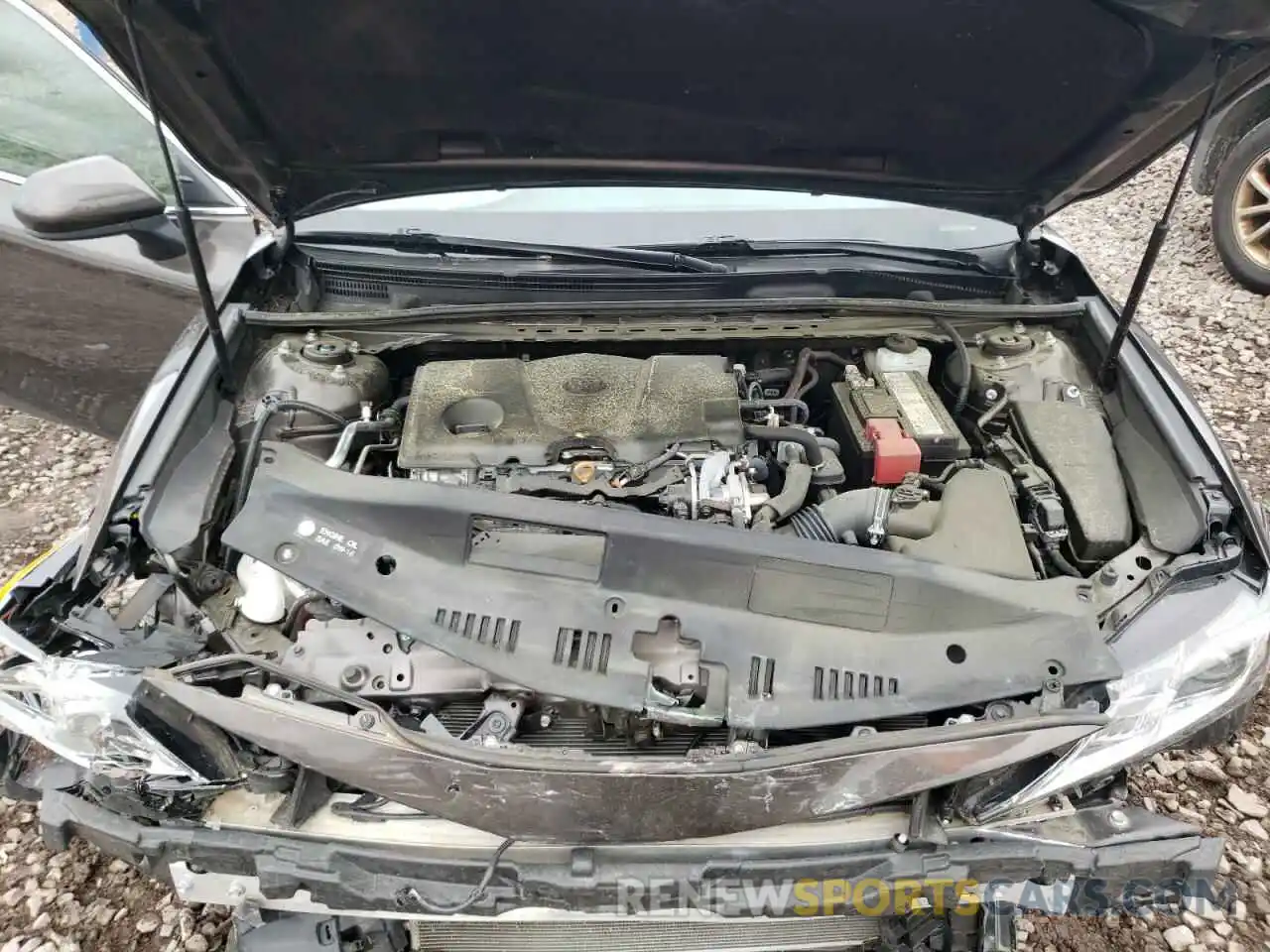 7 Photograph of a damaged car 4T1B11HK0KU748076 TOYOTA CAMRY 2019