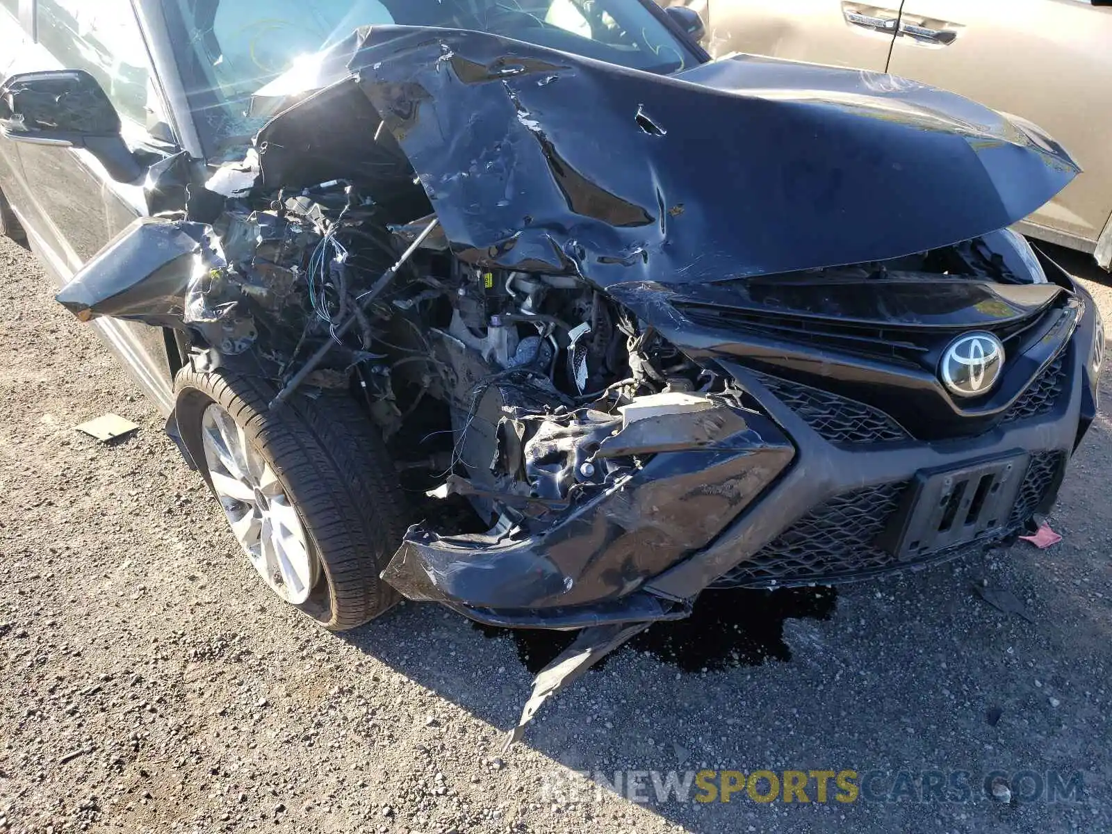 9 Photograph of a damaged car 4T1B11HK0KU754444 TOYOTA CAMRY 2019